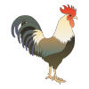 coq2