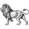 lion0